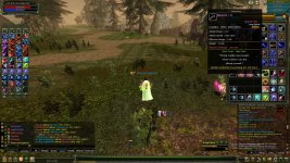 Knight Online Elite Pirate Member Farm Drop