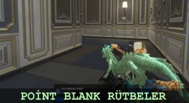 Point Blank Rütbeler
