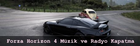 Forza Horizon 4 Müzik Kapatma