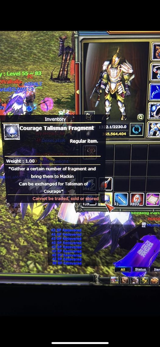 Knight Online Courage Talisman Fragment